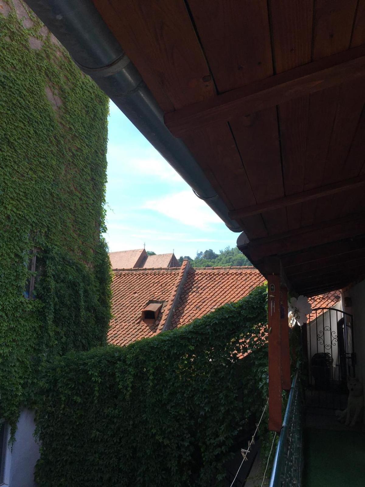 Castel Residence Braşov Extérieur photo